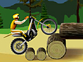 Stunt Dirt Bike for å spille online