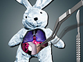 Save The Bunny for å spille online