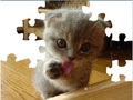 Cute Cat Puzzle for å spille online