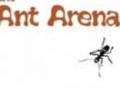 Ants Arena for å spille online