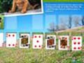 Animal Planet Solitaire for å spille online