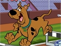 Scooby Doo - Hinderløp for å spille online